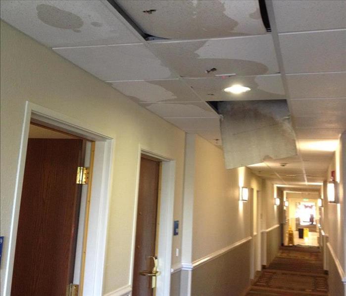 Hallway of a hotel with ceiling tiles wet and falling along with insulation and wet carpet