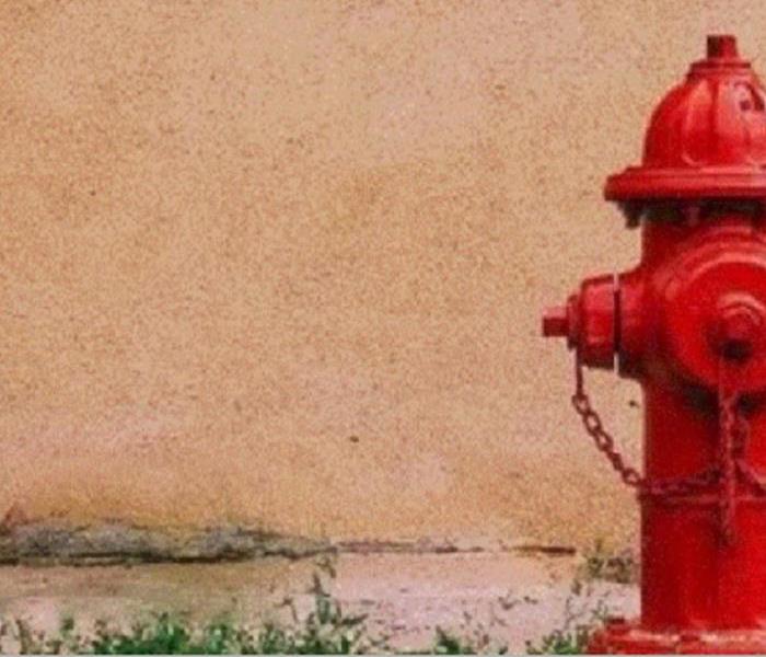 Fire Hydrant in grass and by a wall