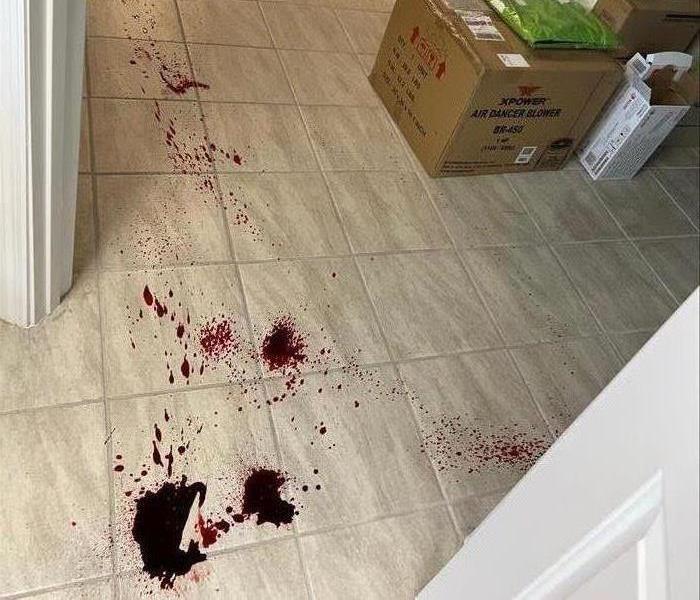 Blood on Tile Floor